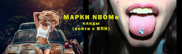 стафф Алексин