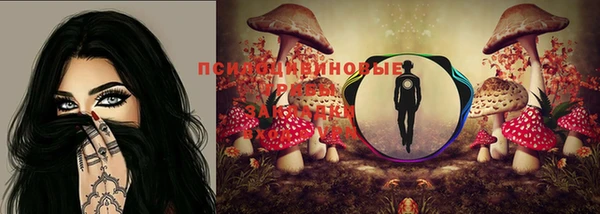 стафф Алексин