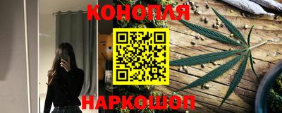 стаф Краснодар