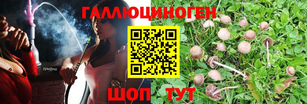 Галлюциногенные грибы Psilocybe  Галлюциногенные грибы Psilocybine cubensis  Вход с VPN  Камышин 