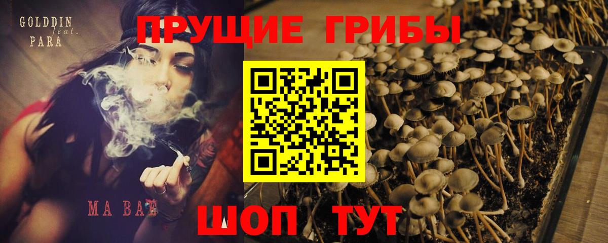 Псилоцибиновые грибы мухоморы Камышин